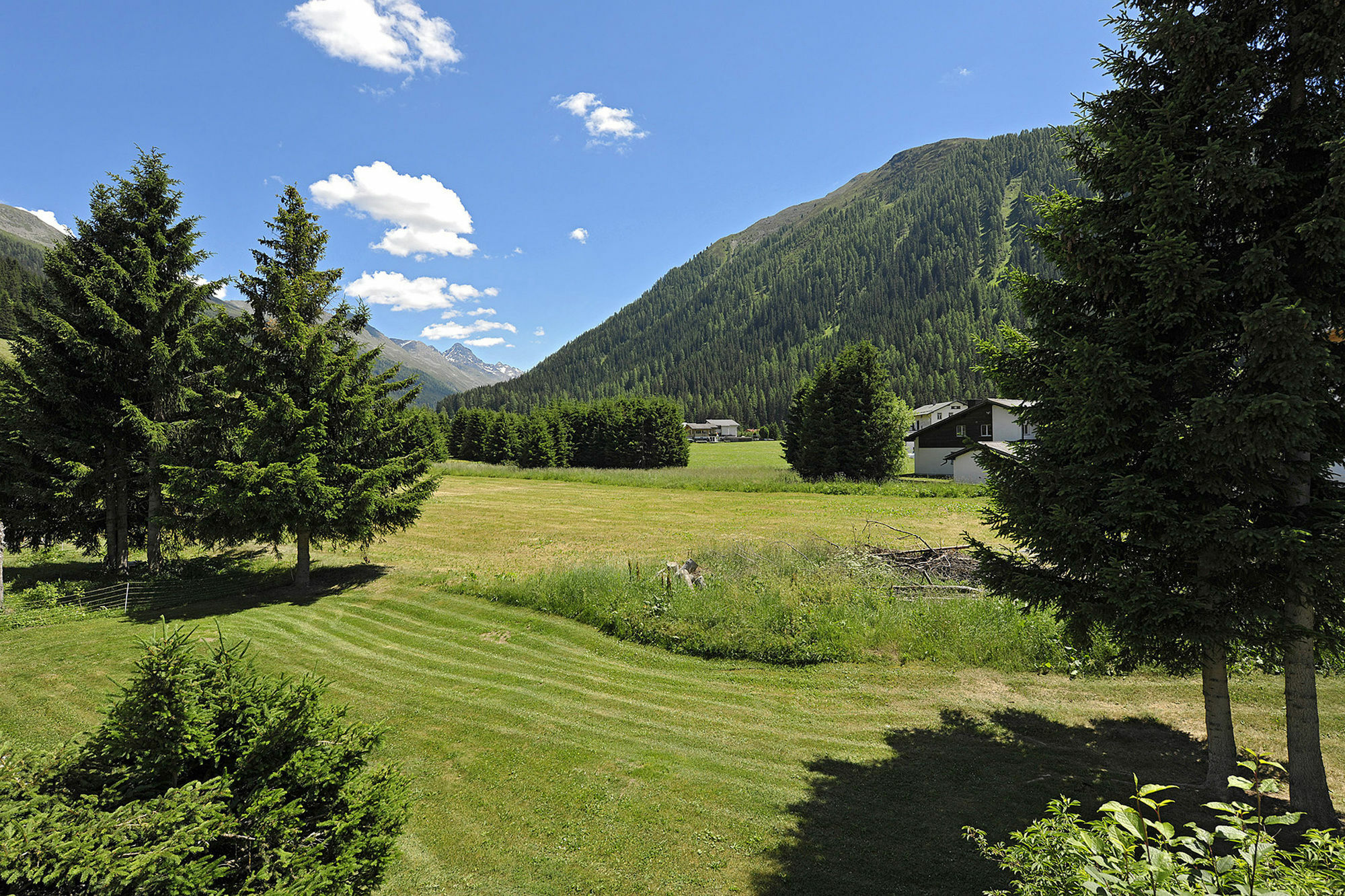 Private Holiday Homes By Solaria Davos